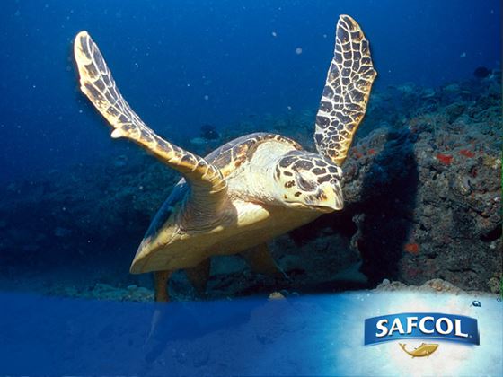 554995 556973704376280 1066886496 n