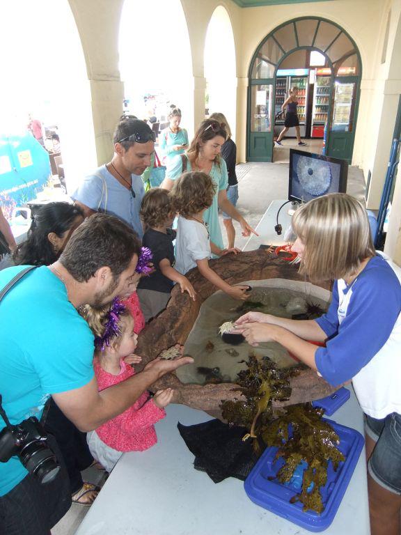 563460 450915071648811 364209184 n