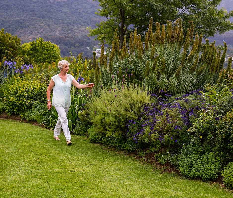 4 Key Foods to Promote Optimal Health After Menopause